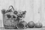 preview bw