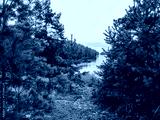 preview cold