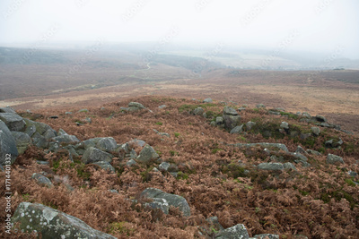image to crop