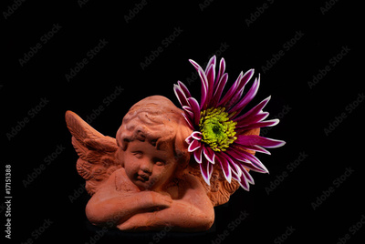 image to crop