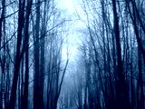 preview cold