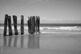 preview bw
