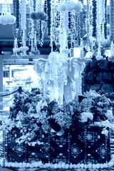 preview cold