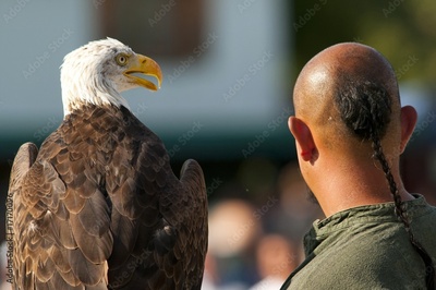 image to crop