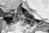 preview bw