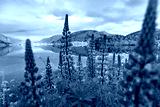 preview cold