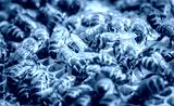 preview cold
