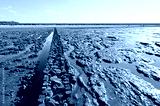 preview cold