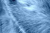 preview cold