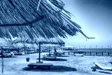 preview cold
