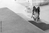 preview bw