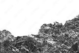 preview bw