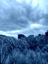 preview cold