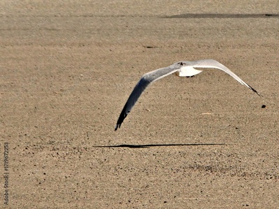 image to crop