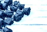 preview cold