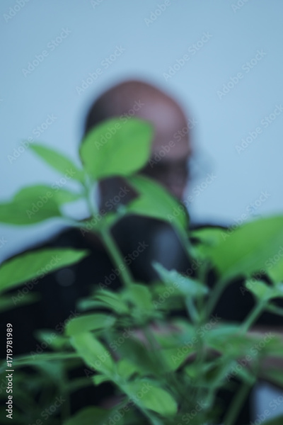 image to crop
