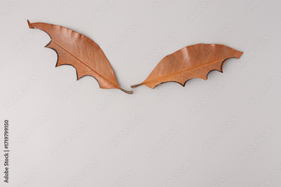 image to crop