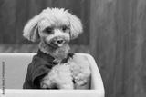 preview bw