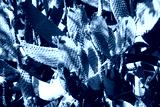 preview cold