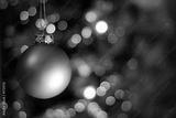 preview bw