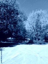 preview cold