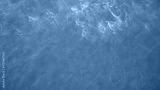 preview cold