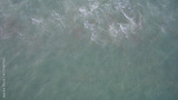 preview original