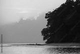 preview bw