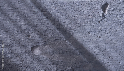 image to crop