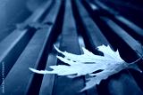 preview cold