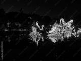 preview bw