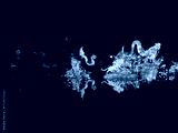 preview cold