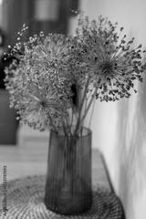 preview bw