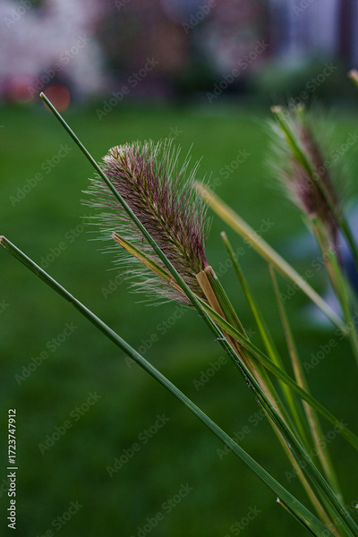 image to crop