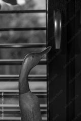preview bw