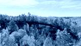 preview cold