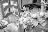 preview bw