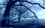 preview cold