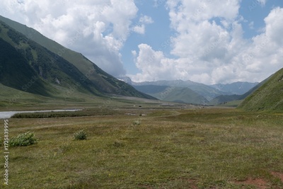 image to crop