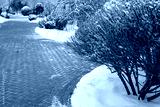 preview cold