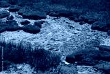 preview cold