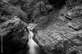 preview bw