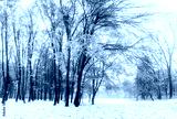 preview cold