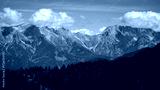 preview cold
