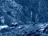 preview cold
