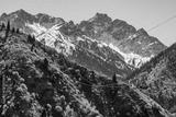 preview bw