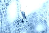 preview cold