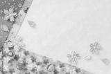 preview bw