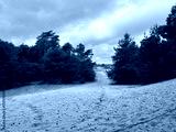 preview cold