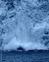 preview cold